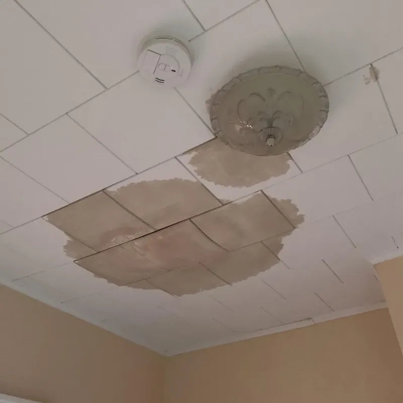 Ceiling Water Damage Repair in Audubon, IA