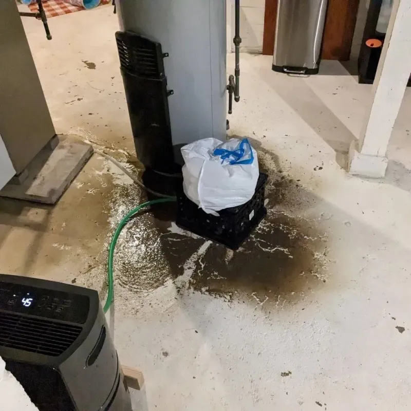 Sewage Backup Cleanup Service in Audubon, IA